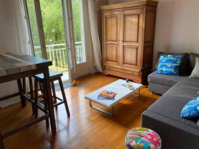 Appartement lumineux Vue montagne Centre Grenoble pour ski ou randonnées